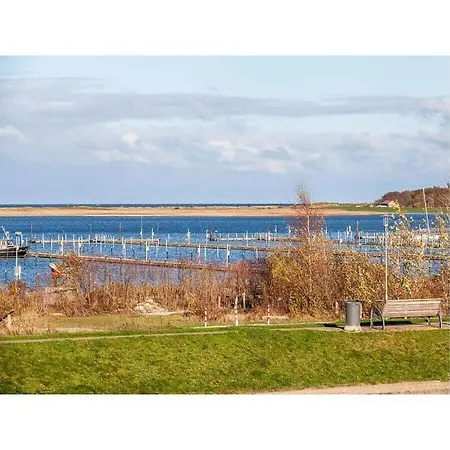 Herzmuschel Marina