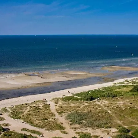 Herzmuschel Marina